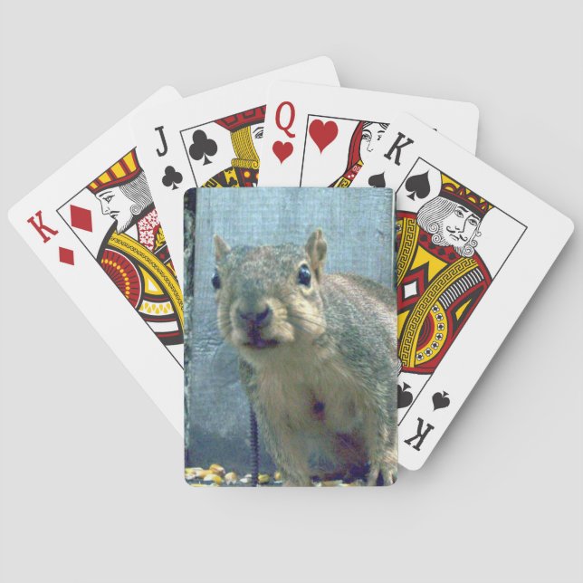 Squirrel Playing Cards (Back)