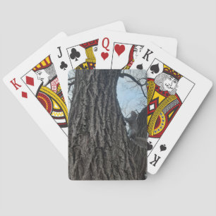Squirrel Playing Cards