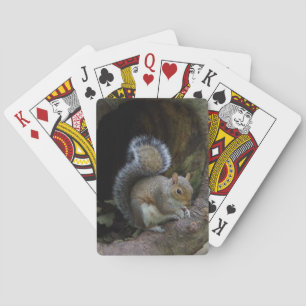 Squirrel Playing Cards