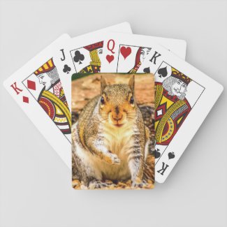Squirrel Playing Cards