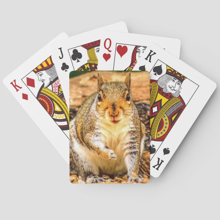Squirrel Playing Cards Zazzle