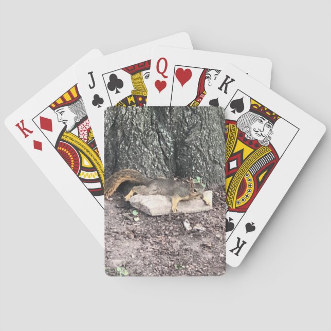 Squirrel Playing Cards (Back)