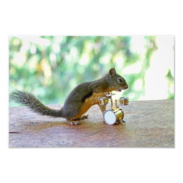 Squirrel Playing Drums Photo Print (Front)