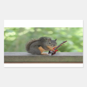 Squirrel Playing Electric Guitar Rectangular Sticker