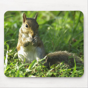 Squirrel Portrait Mouse Pad