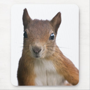 Squirrel Portrait Mousemat