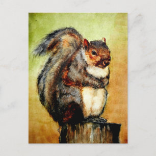 Squirrel Portrait Postcards