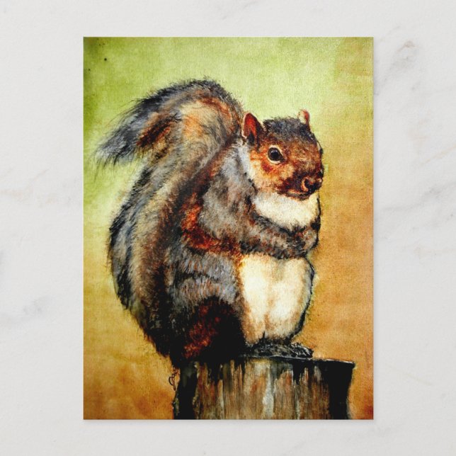 Squirrel Portrait Postcards (Front)