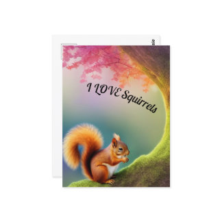 Squirrel  postcard
