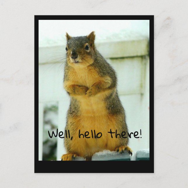 Squirrel postcard (Front)