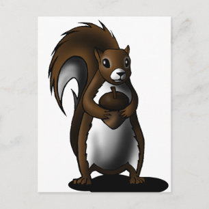Squirrel Postcard