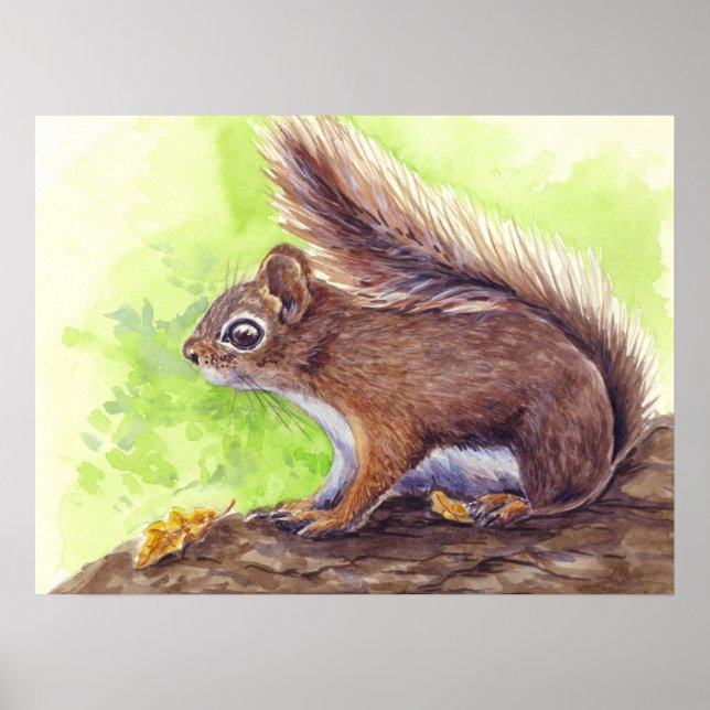 Squirrel Poster (Front)
