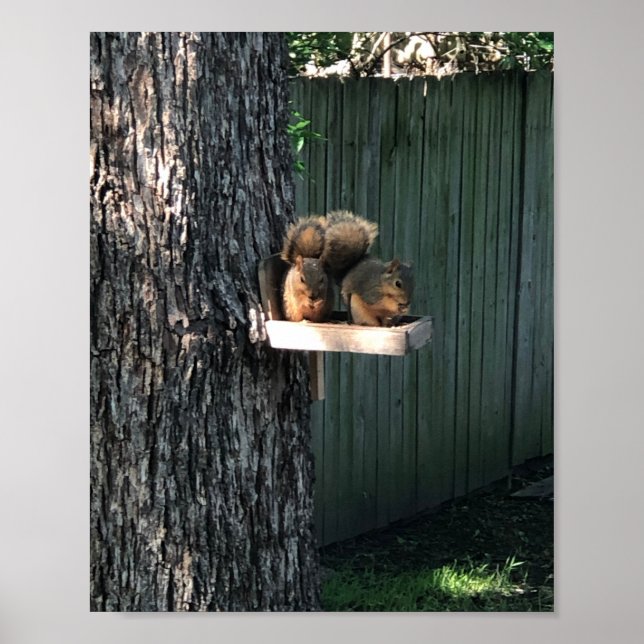 Squirrel Poster (Front)