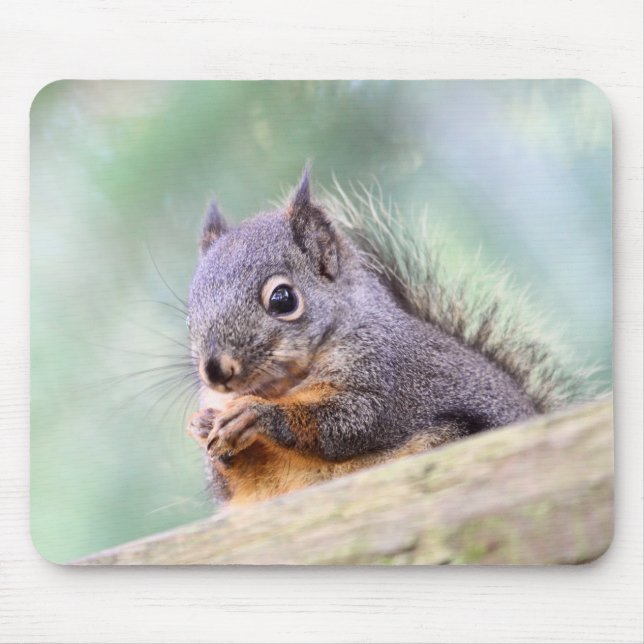Squirrel Praying for Peanuts Mouse Mat (Front)