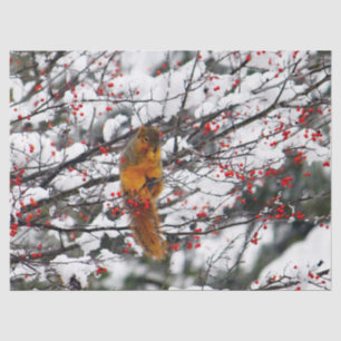 Squirrel Red Berries Snow Tree Photo Tissue Paper