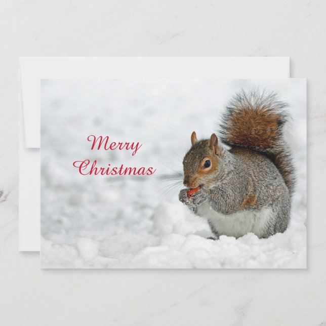 Squirrel Red Berry Snow Photo Christmas Flat Holiday Card (Front)