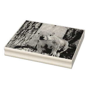 Squirrel Rubber Stamp