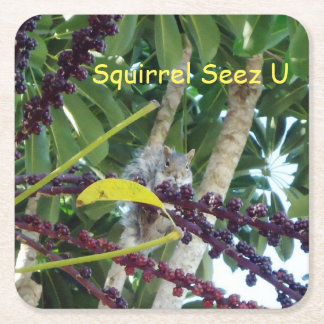 Squirrel Seez U Square Paper Coaster