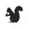 Squirrel Silhouette