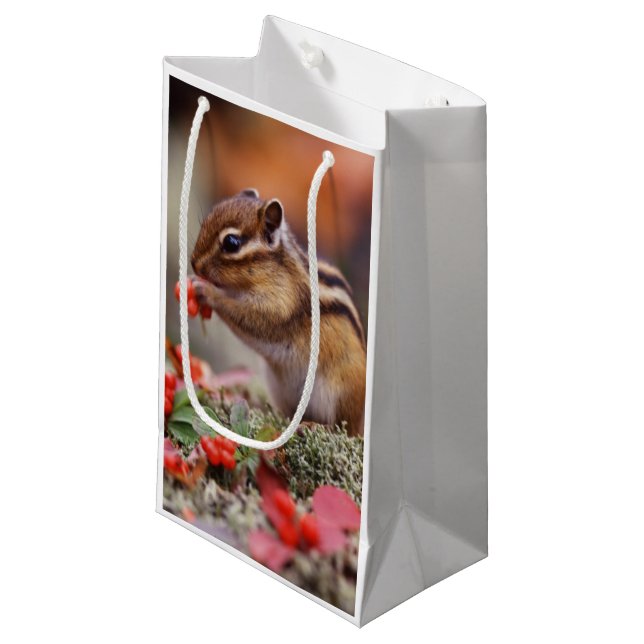 Squirrel Small Gift Bag (Front Angled)