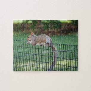 Squirrel Snacking, Jigsaw Puzzle, 8" x 10", 110 pc Puzzle
