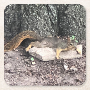 Squirrel Square Paper Coaster