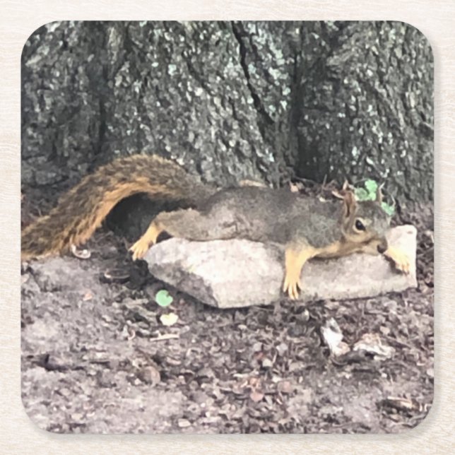 Squirrel Square Paper Coaster (Front)