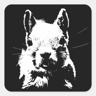 Squirrel Square Sticker