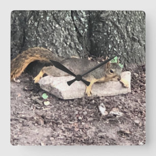 Squirrel Square Wall Clock