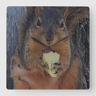 Squirrel square wall clock