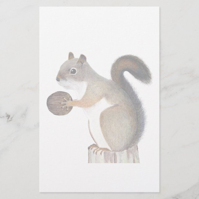 Squirrel Stationery (Front)