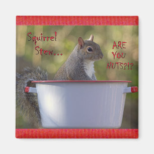 Squirrel Stew... ARE YOU NUTS?!? Magnet