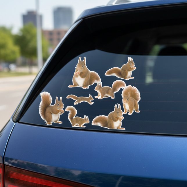 Squirrel Sticker Pack (Squirrel watching is a whole personality.)