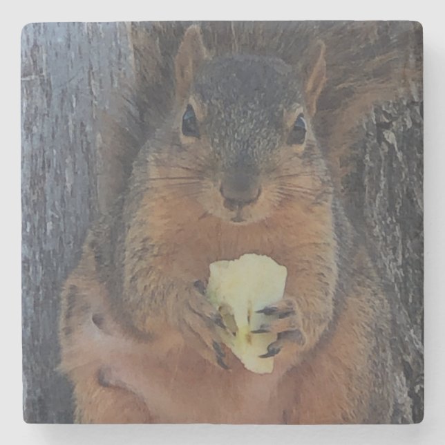 Squirrel  stone coaster (Front)
