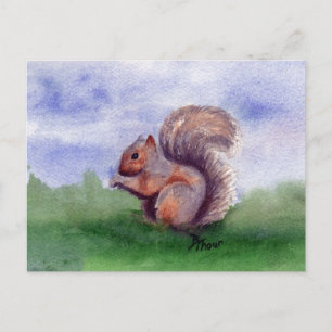 Squirrel Study Postcard