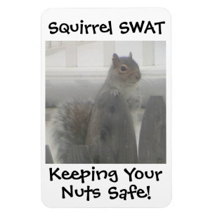 Squirrel SWAT Magnet