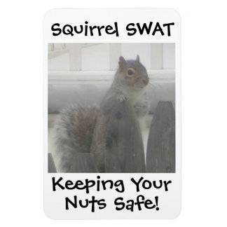 Squirrel SWAT Magnet