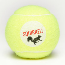 Squirrel tennis balls-set of 3