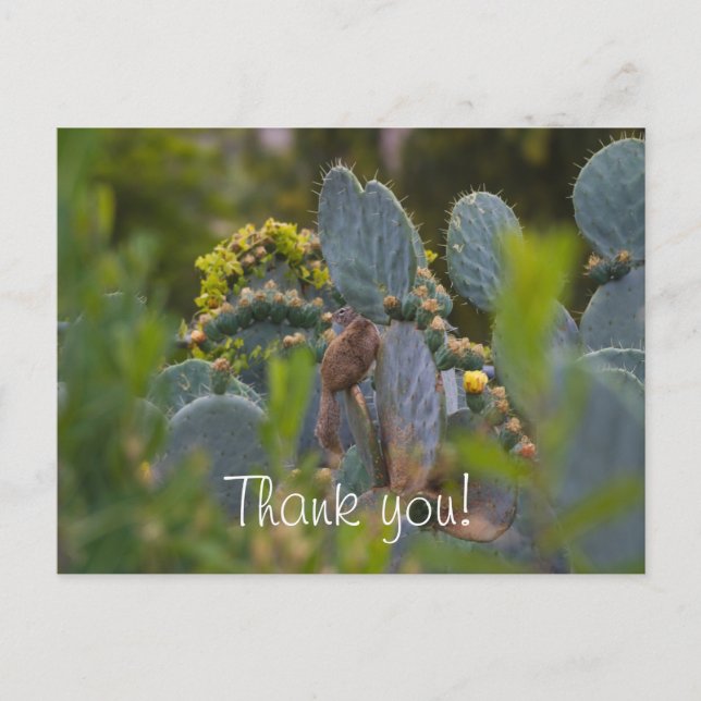 Squirrel Thank You Card (Front)
