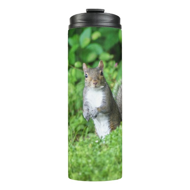 Squirrel Thermal Tumbler (Front)