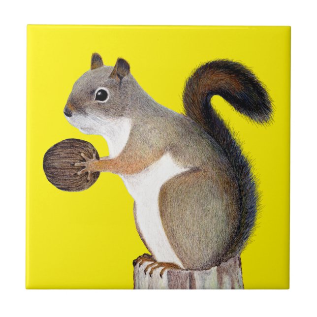 Squirrel Tile (Front)