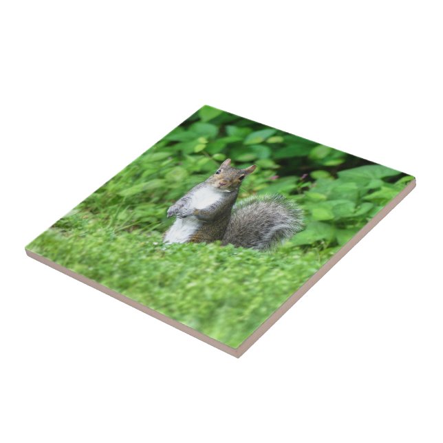 Squirrel Tile (Side)