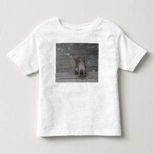 Squirrel toddler t-shirt