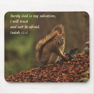 Squirrel - Trust Mouse Mat