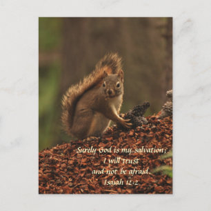 Squirrel - Trust Postcard