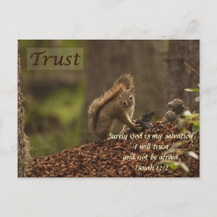 Squirrel - Trust Postcard
