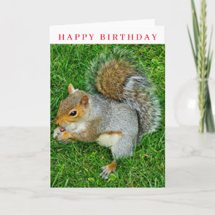Squirrel up close birthday card