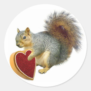 Squirrel Valentine Classic Round Sticker