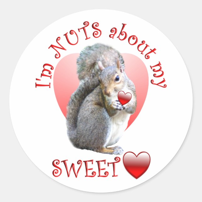 Squirrel Valentine Classic Round Sticker (Front)