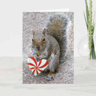 Squirrel Valentine's Card